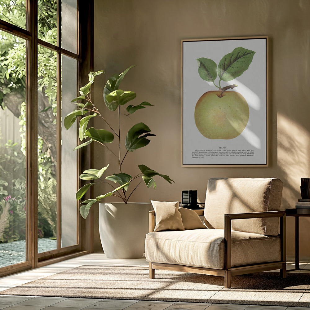 Mann Appellithografie | Poster