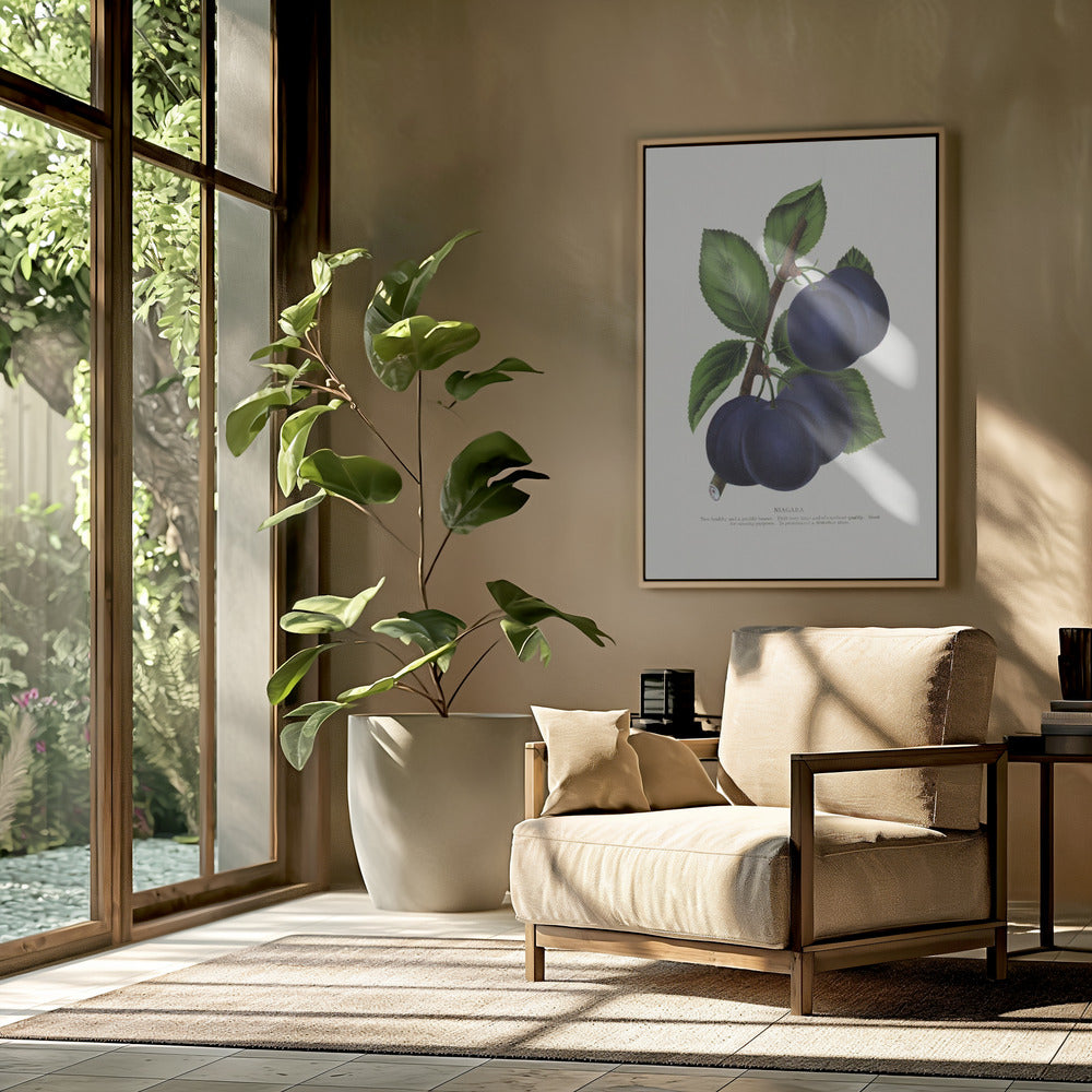 Niagara Plum Lithografie | Poster