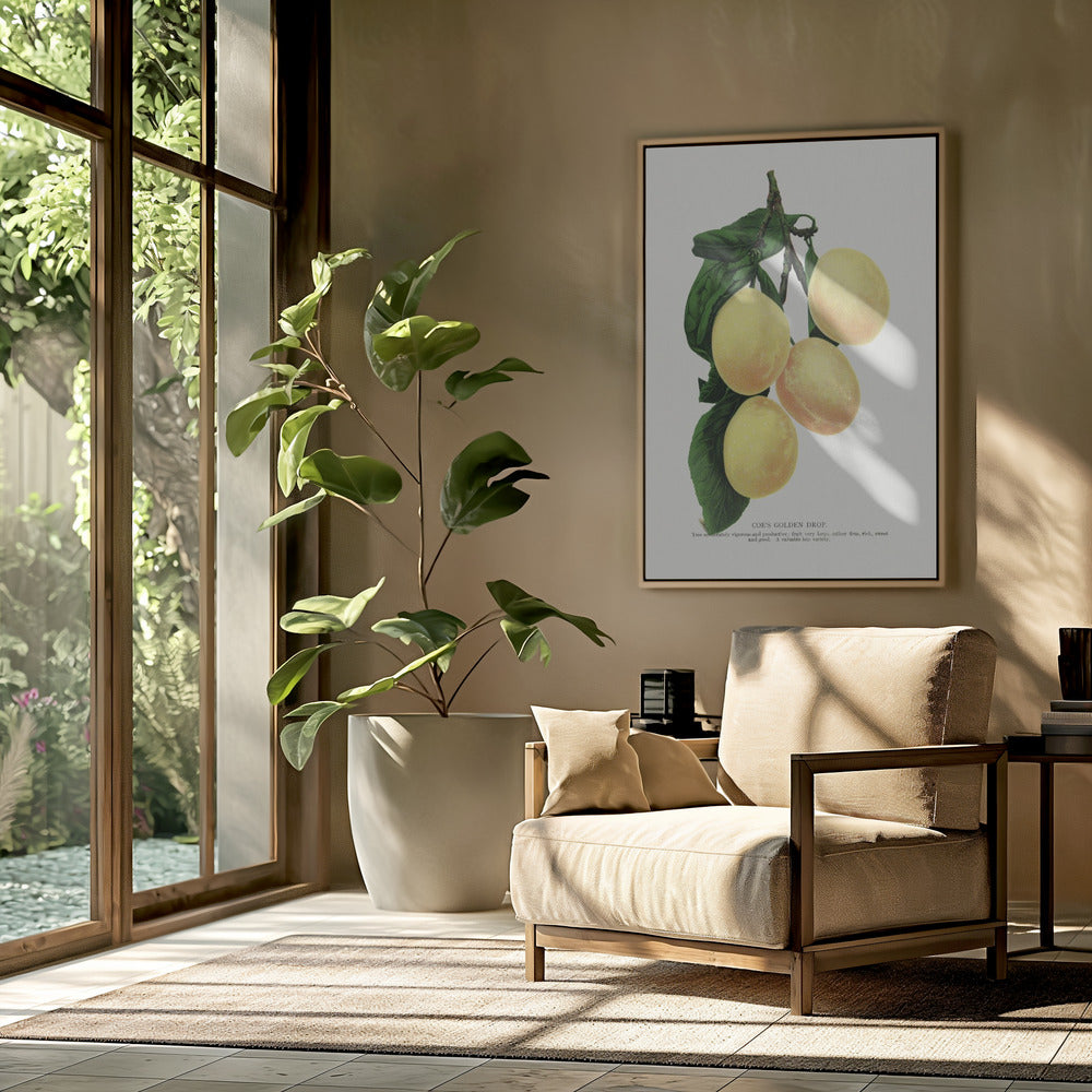 Coe's Golden Drop Plum Lithografie | Poster