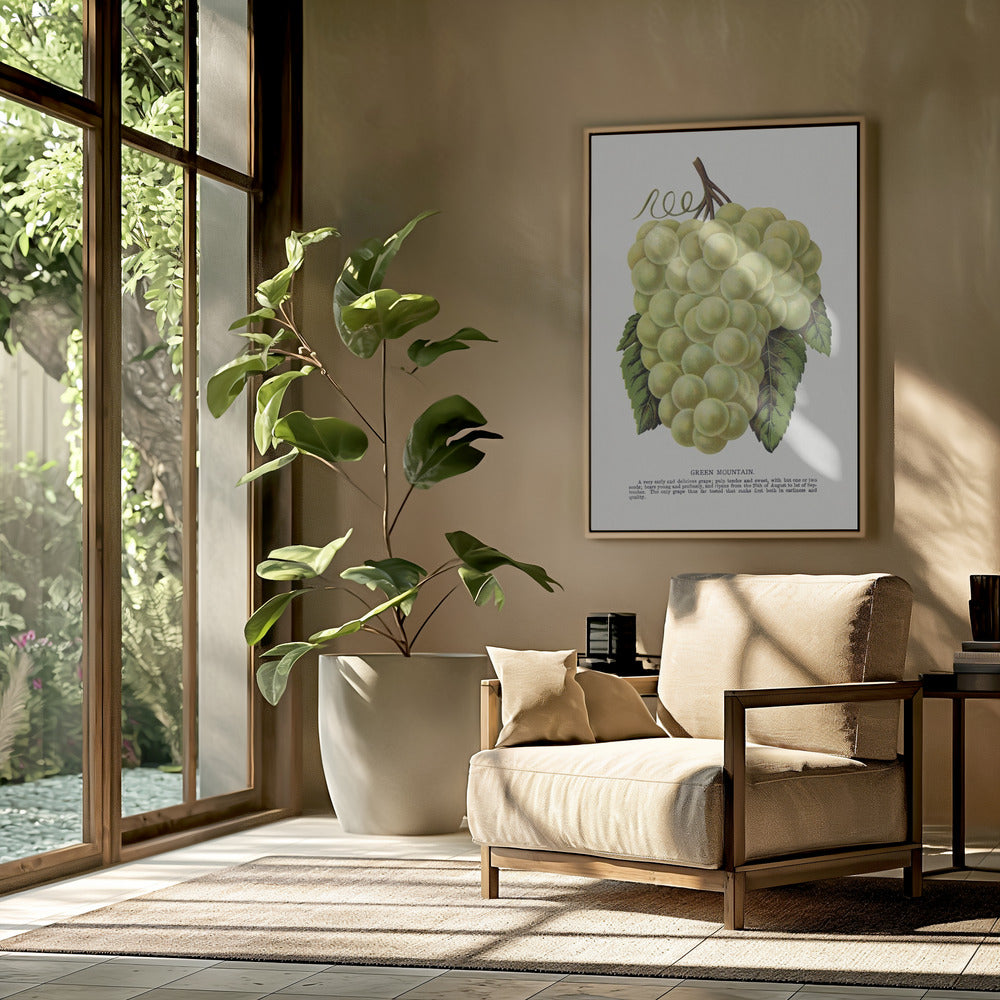 Groene bergdruiflithografie | Poster