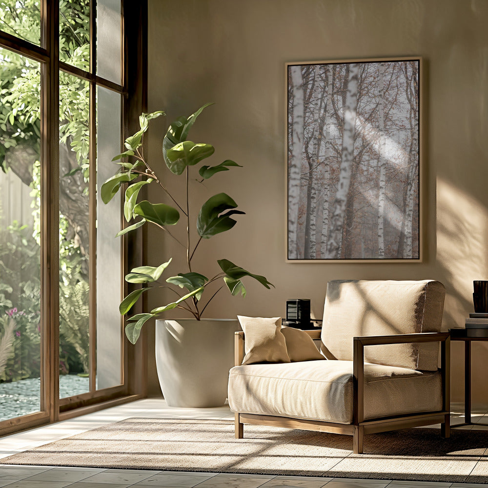 Birch Trees 6 | Poster