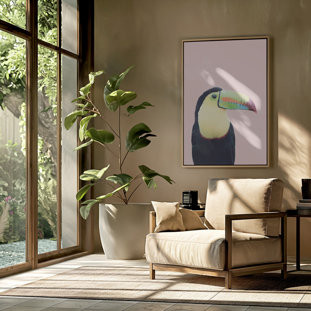 Toekan op roze | Poster