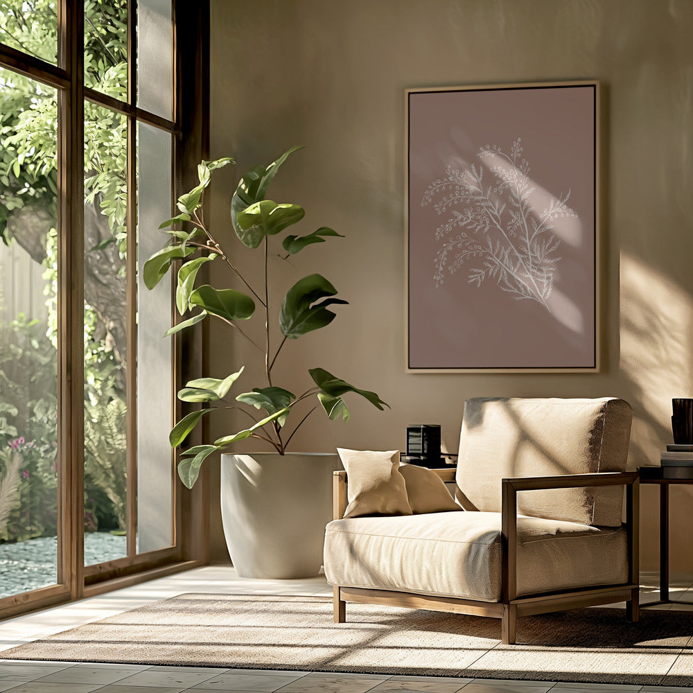 Acacia Botanische Afdeling | Poster