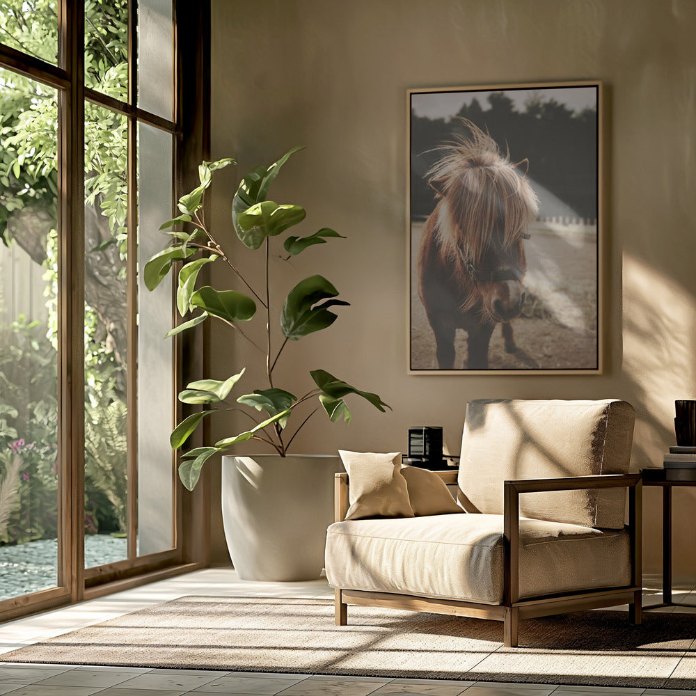 Pony met een ruige manen | Poster