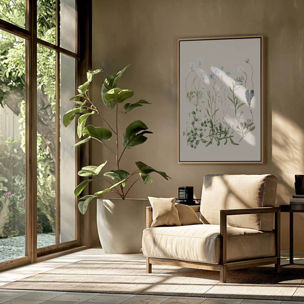 Wahlenbergia's getekend | Poster