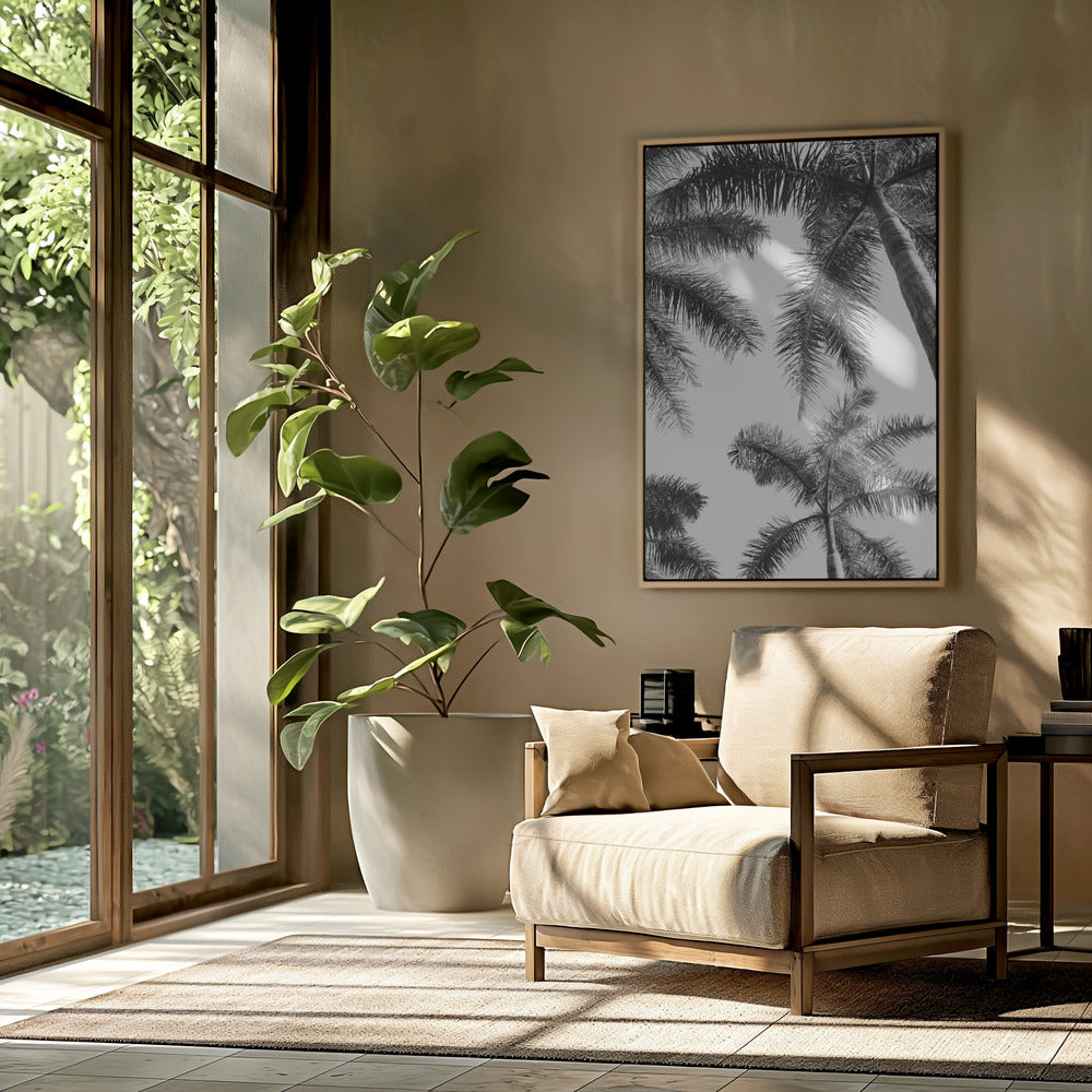 Zwart-witte palmboom | Poster