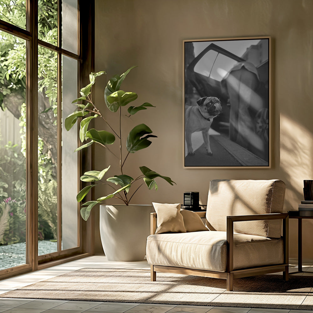 Zonder titel | Poster