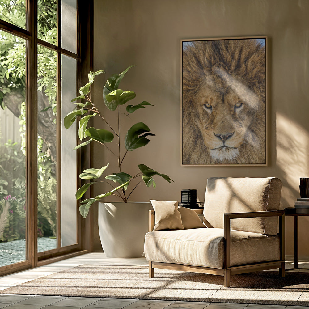Serieuze Leeuw | Poster