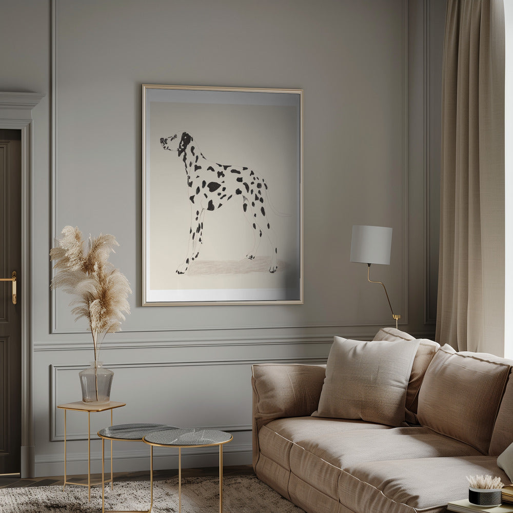 Pandc Dalmatiër | Poster