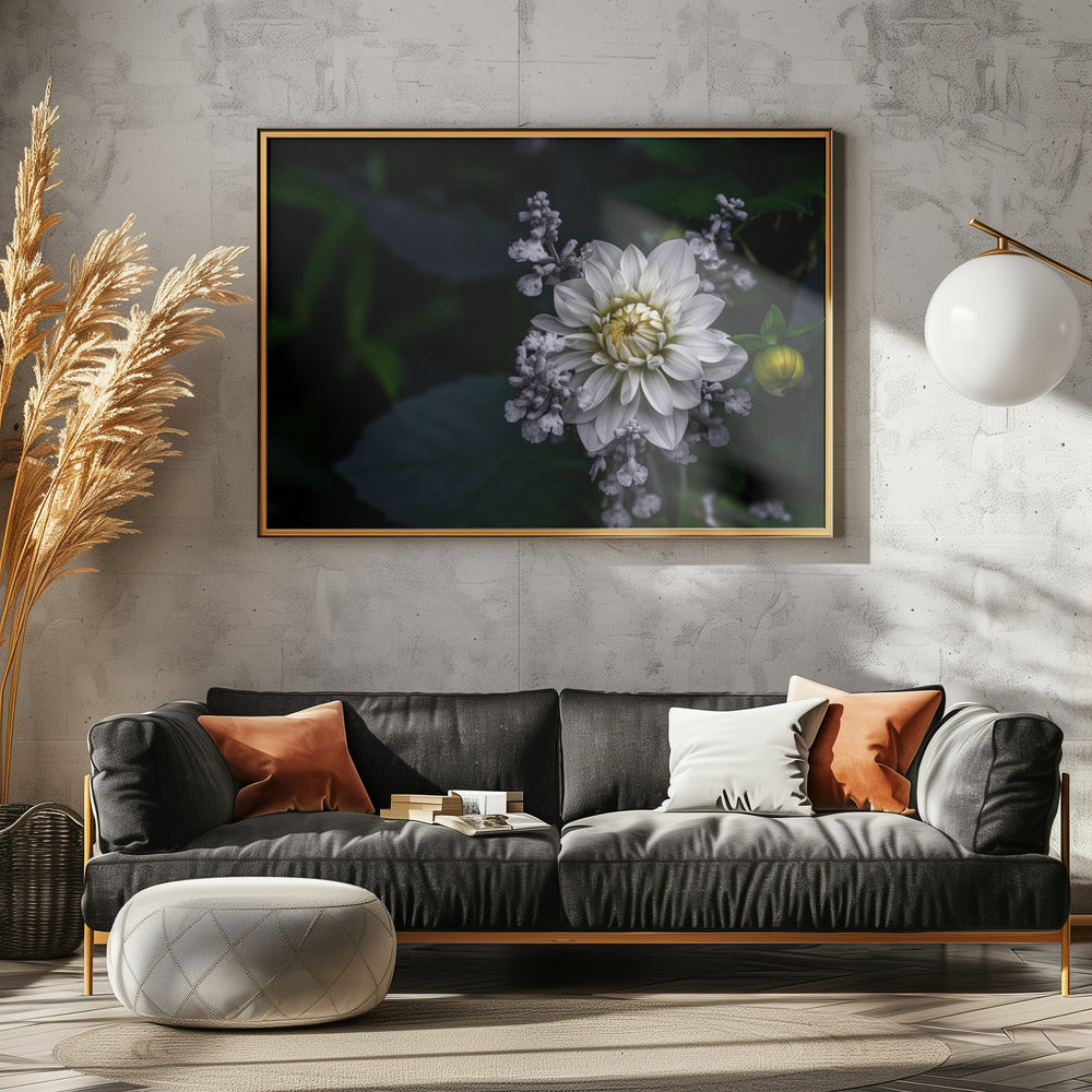 Dahlia bloem | Canvas