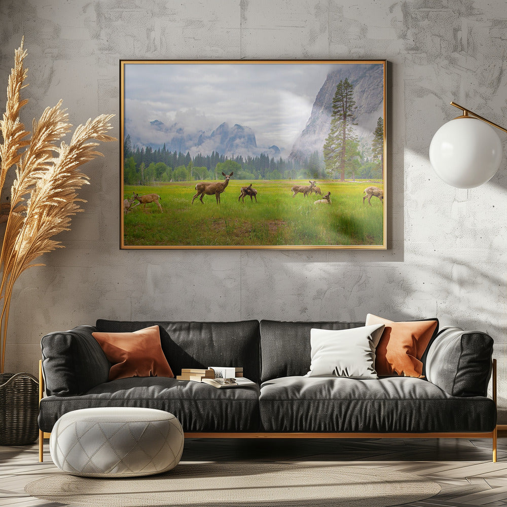 Een gevoel van vervlogen tijden | Canvas