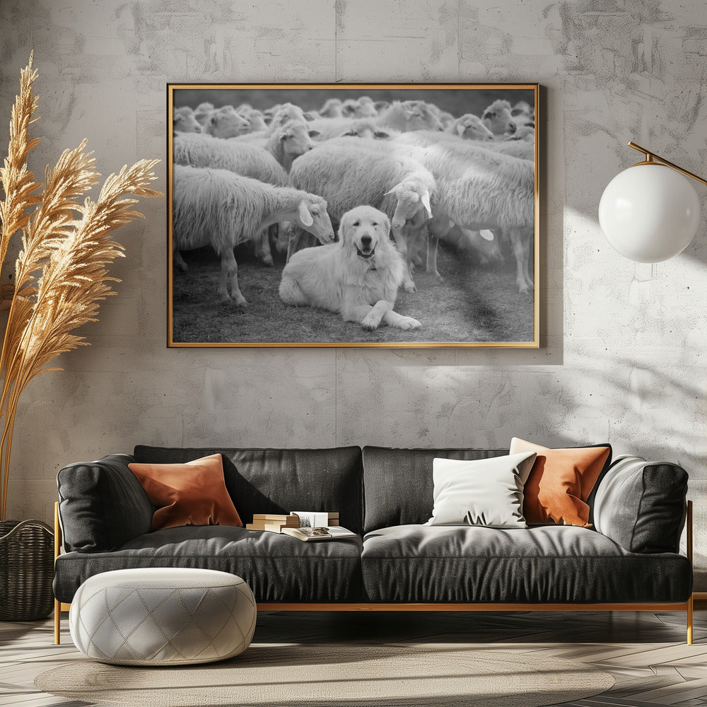 De Baas | Poster