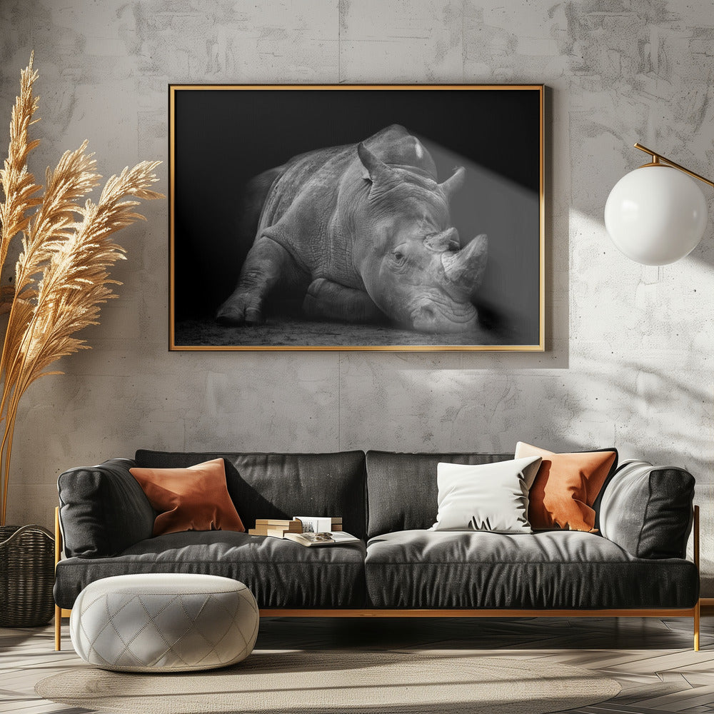 Verslagen | Canvas
