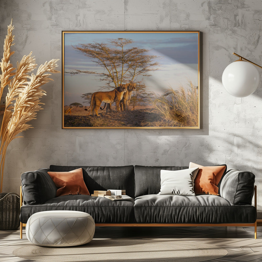Zussen | Canvas