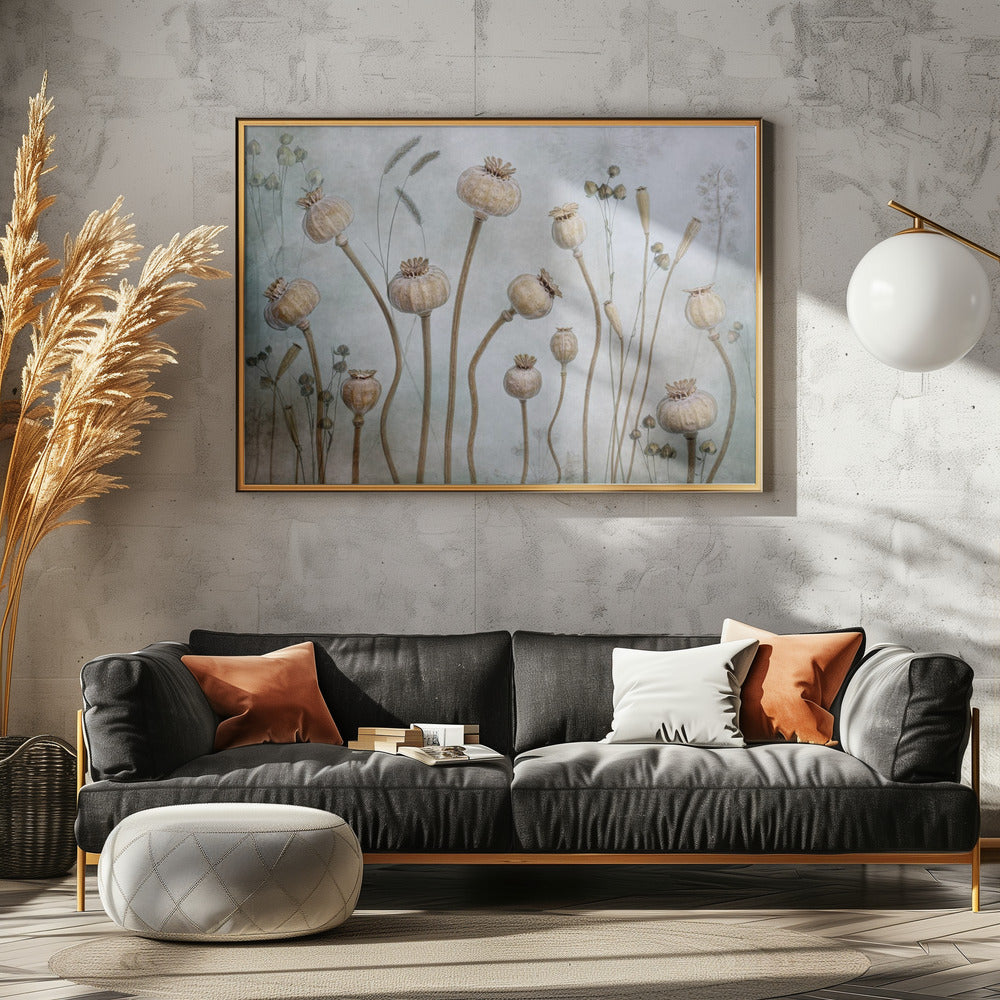 Papaver | Canvas