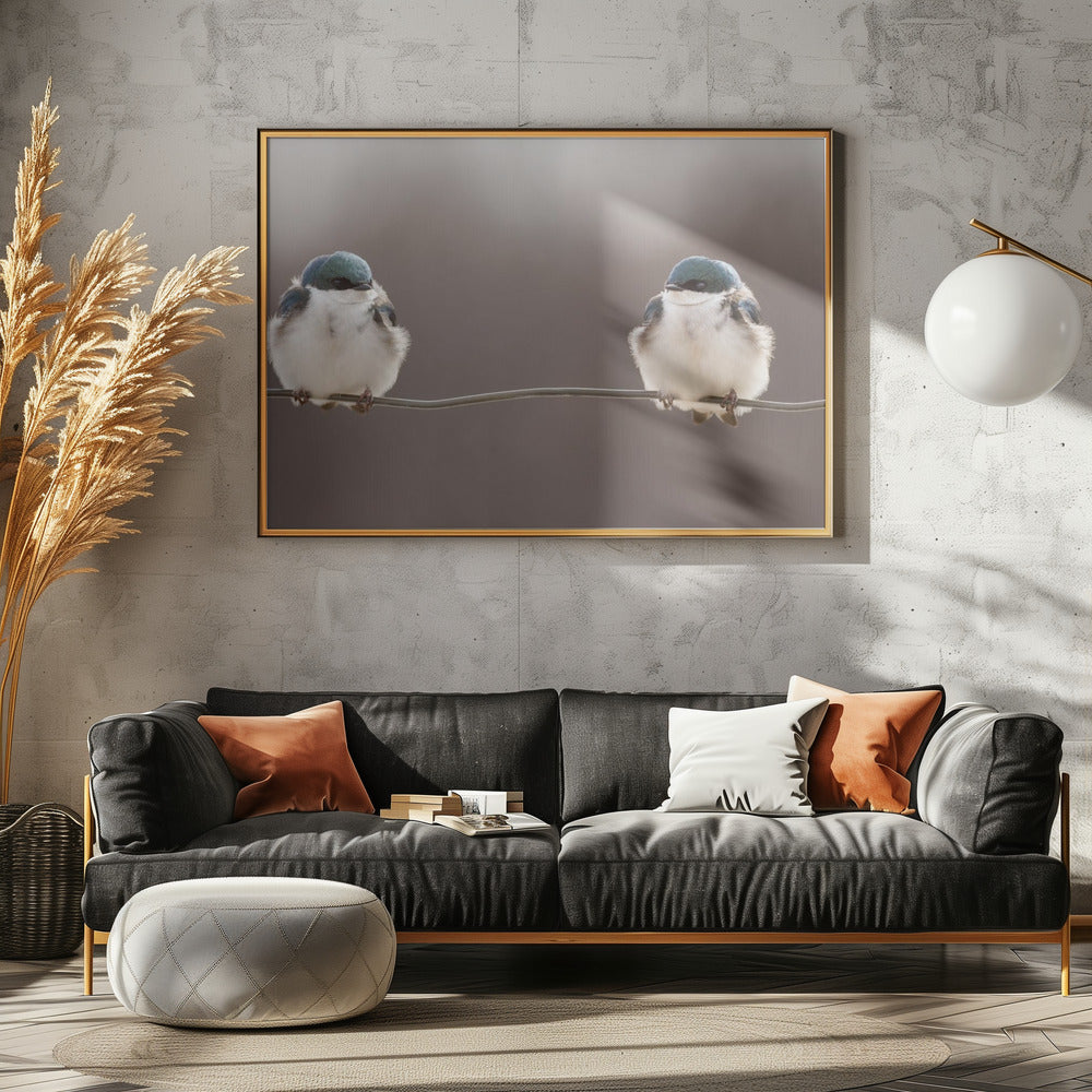 Vogels op een draad | Canvas