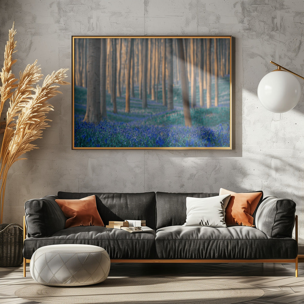 Dromen zijn hiervan gemaakt | Canvas