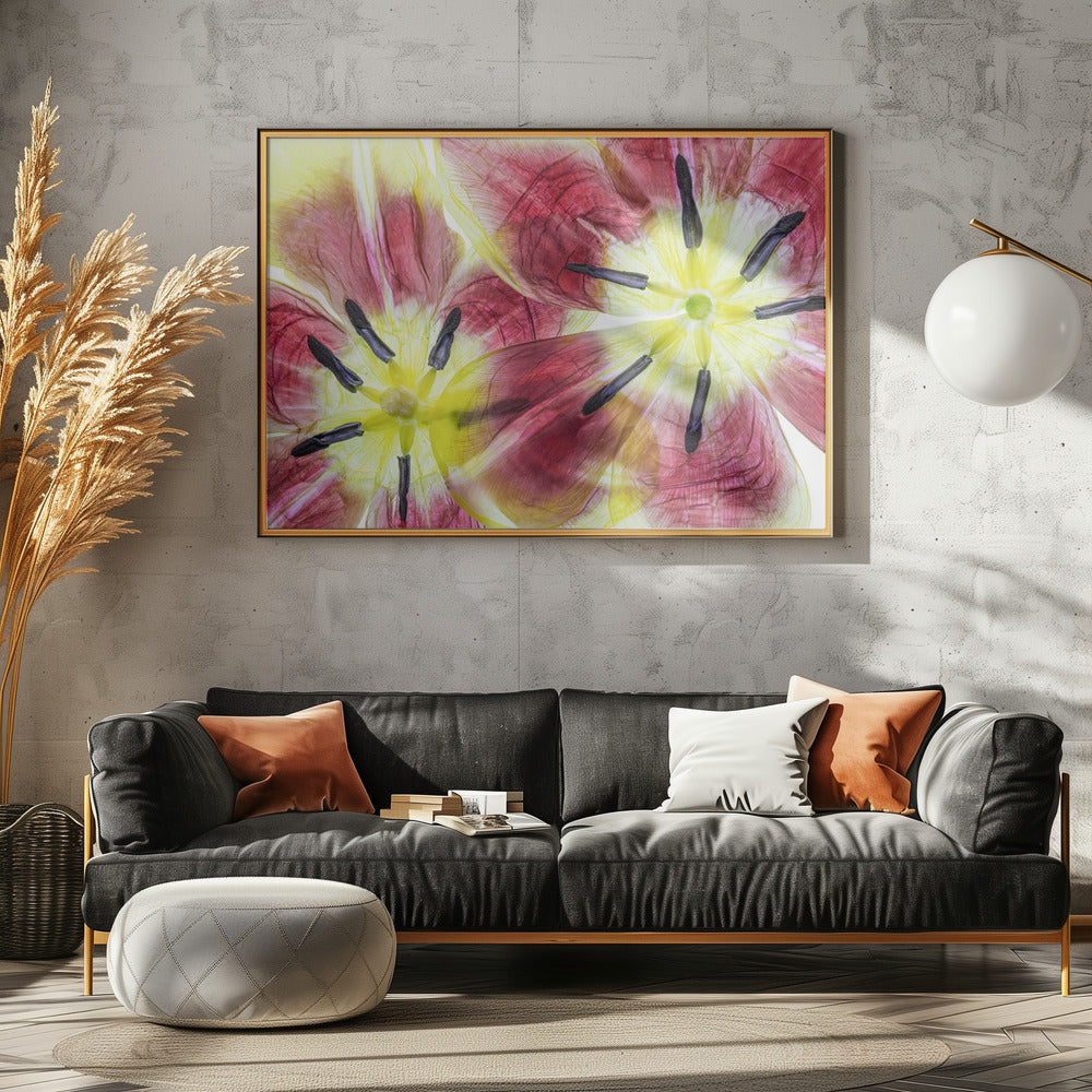 Tulips | Canvas