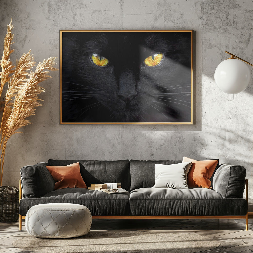De hypnotiseur van de nacht | Canvas