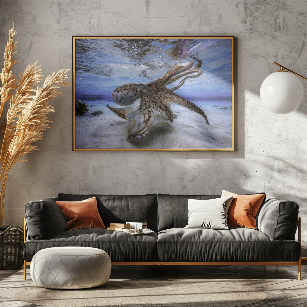 Dansende Octopus | Canvas
