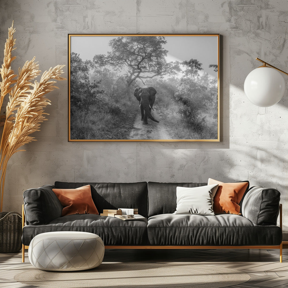 WANDELENDE REUS | Canvas
