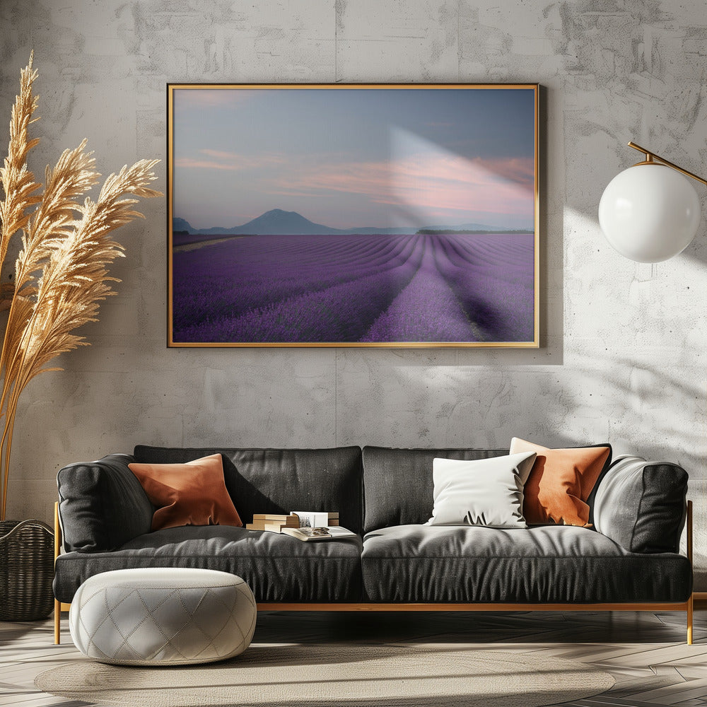 Lavendelveld | Canvas
