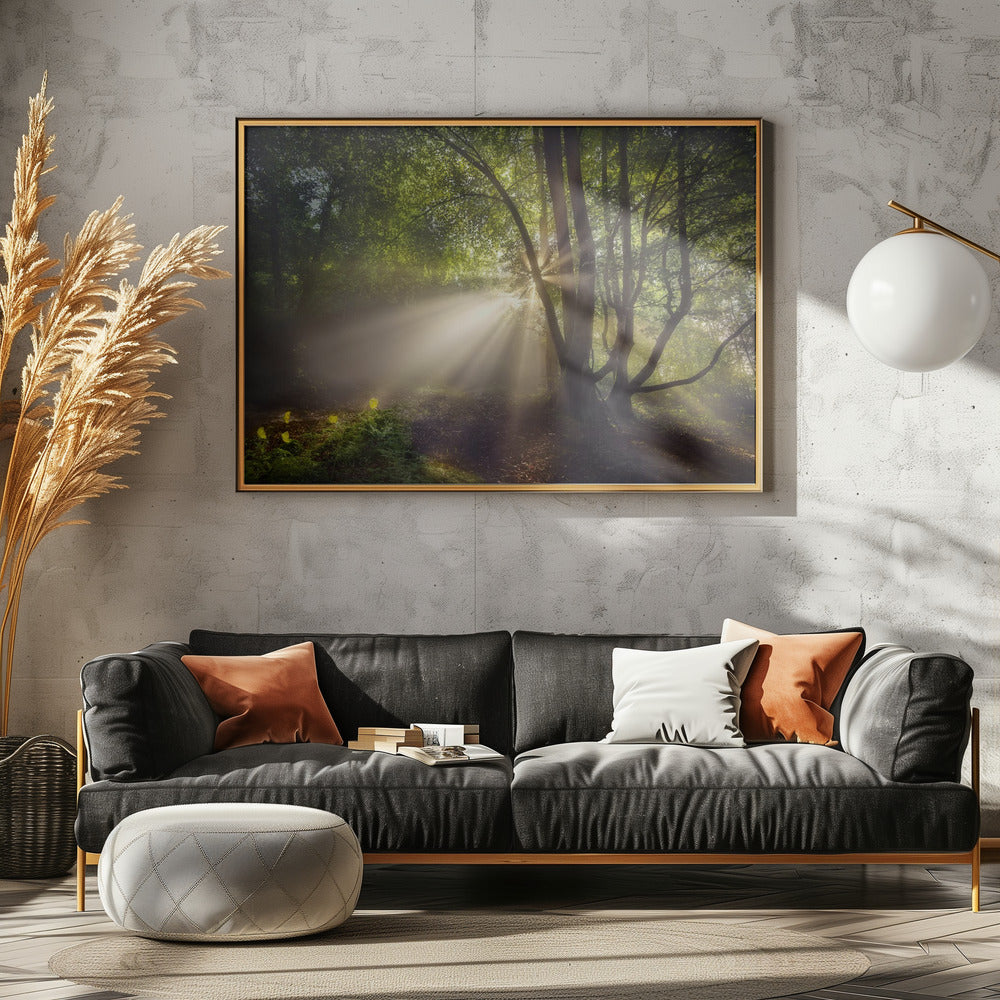 Het ochtendlicht | Canvas