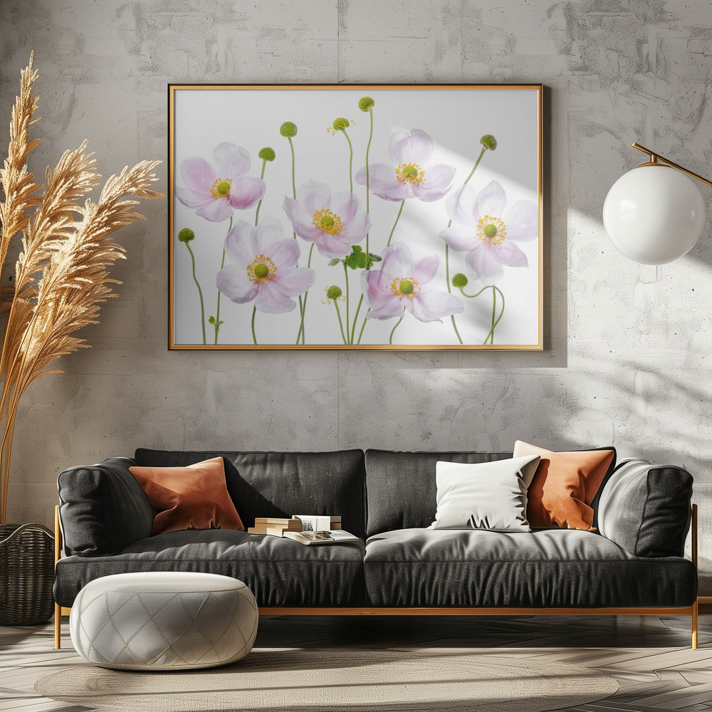 Japanse anemonen | Canvas