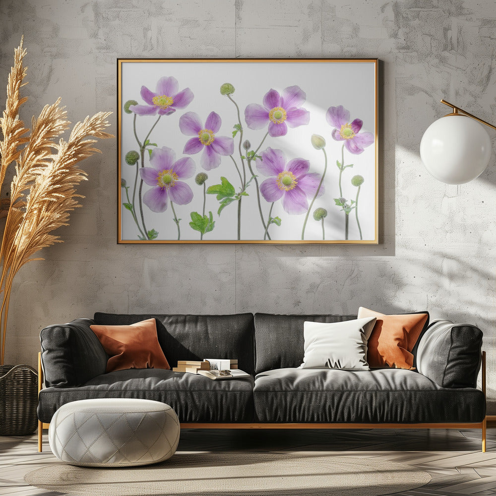 Anemoon Japonica | Canvas