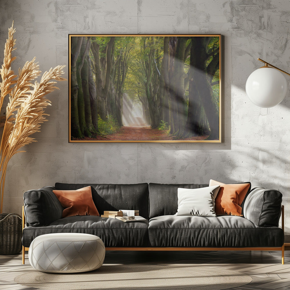 Een glorieuze dag | Canvas