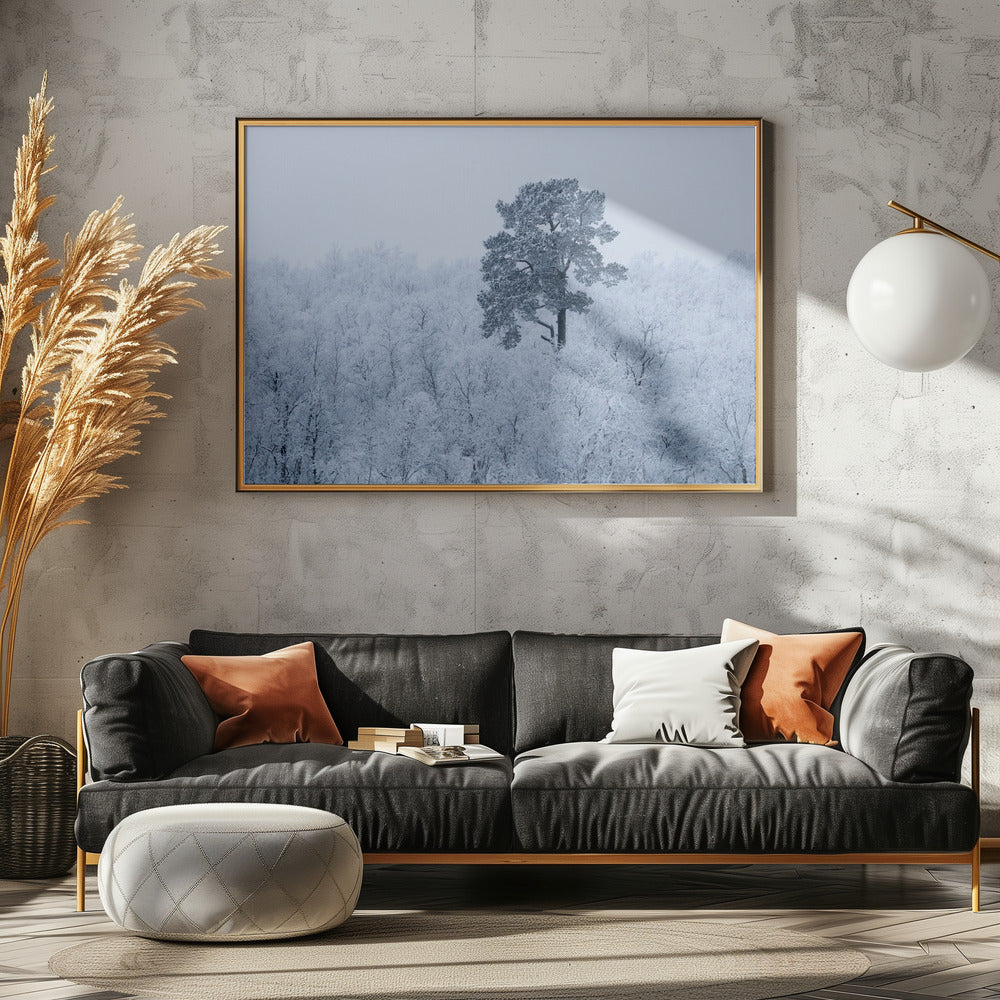 Eerste sneeuw | Poster