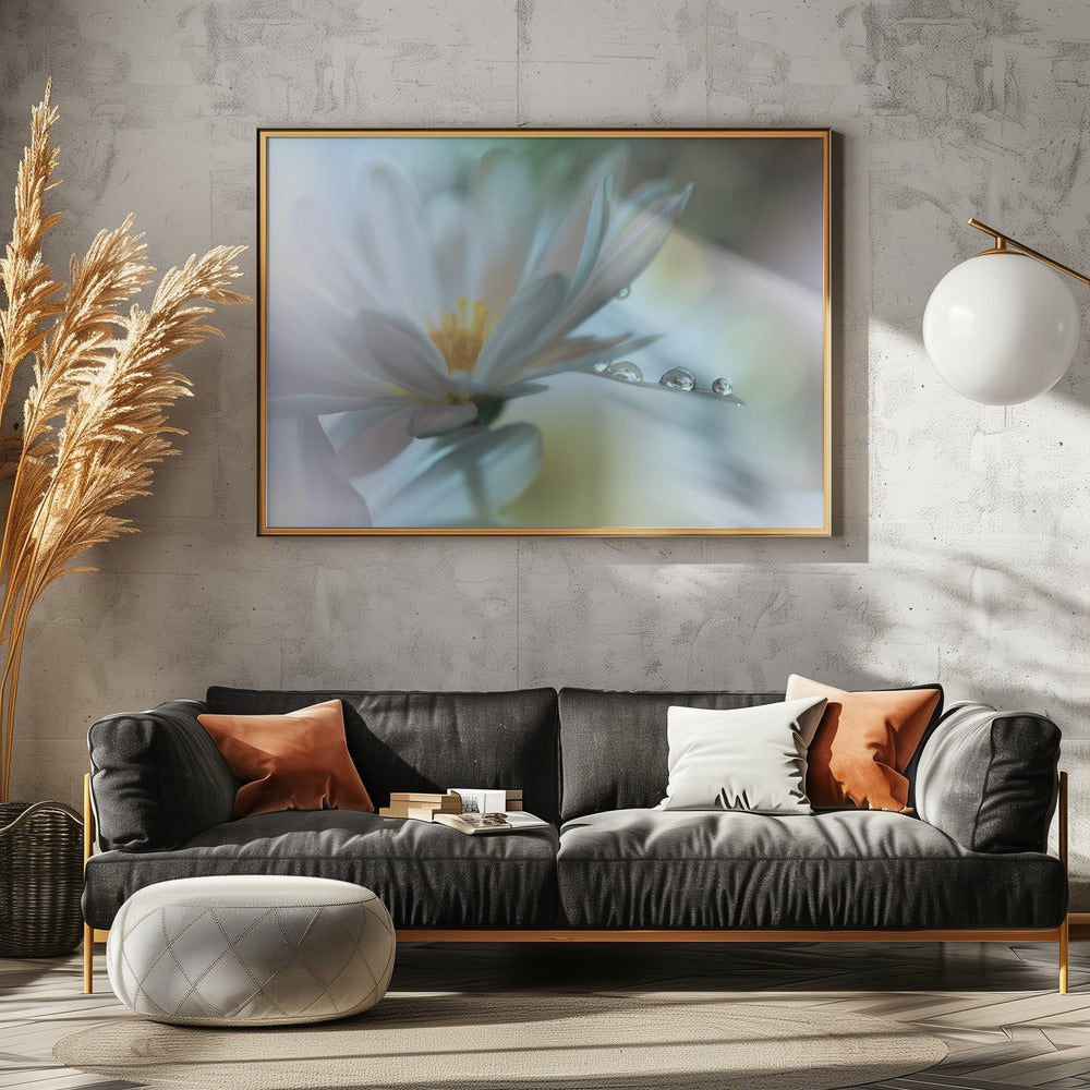 Lichte aanraking... | Canvas