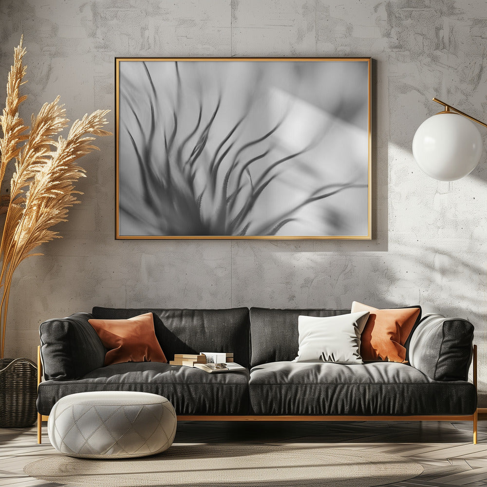 Untitled | Canvas
