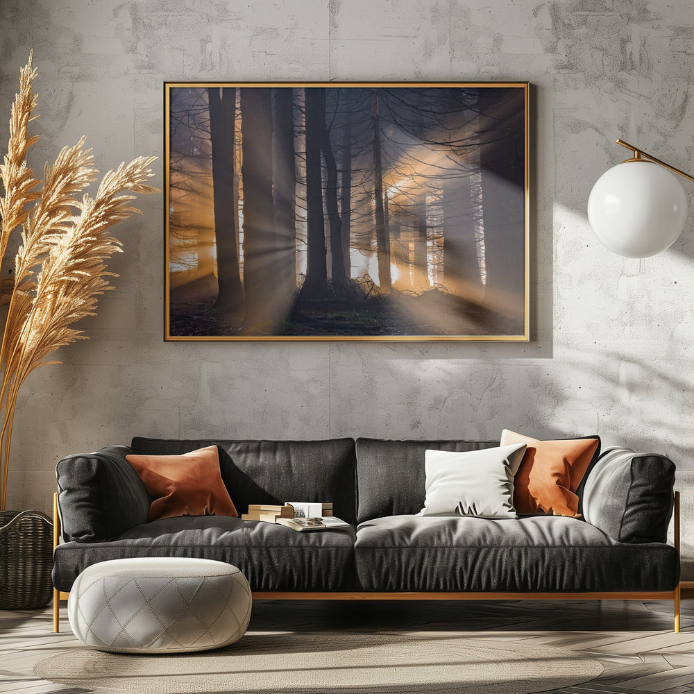 Forest | Poster