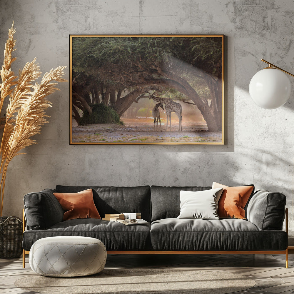 Giraf - Namibië | Canvas
