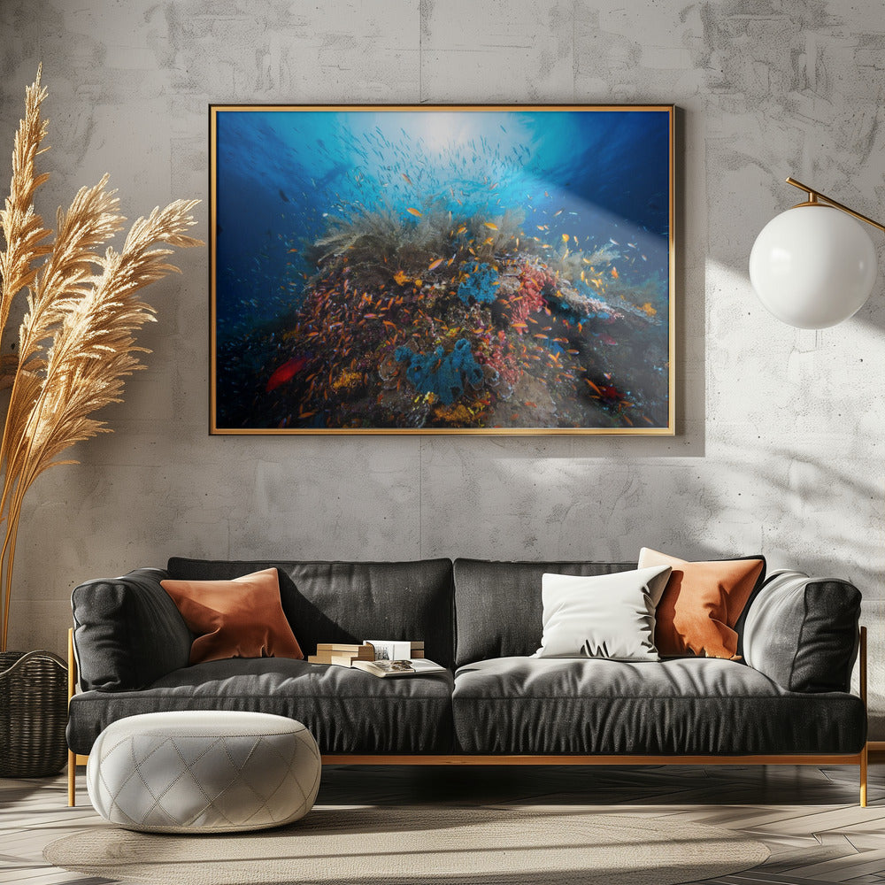 Apneu | Canvas