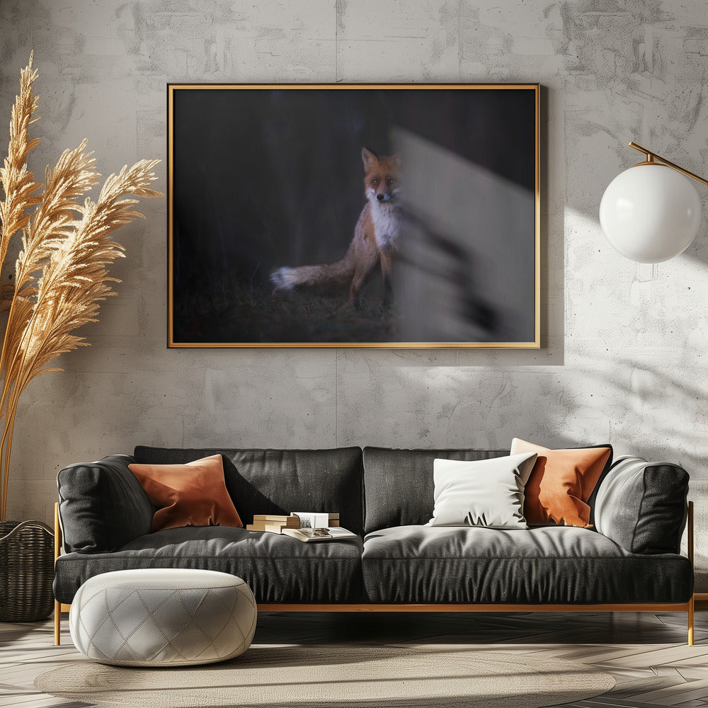 Glances | Poster