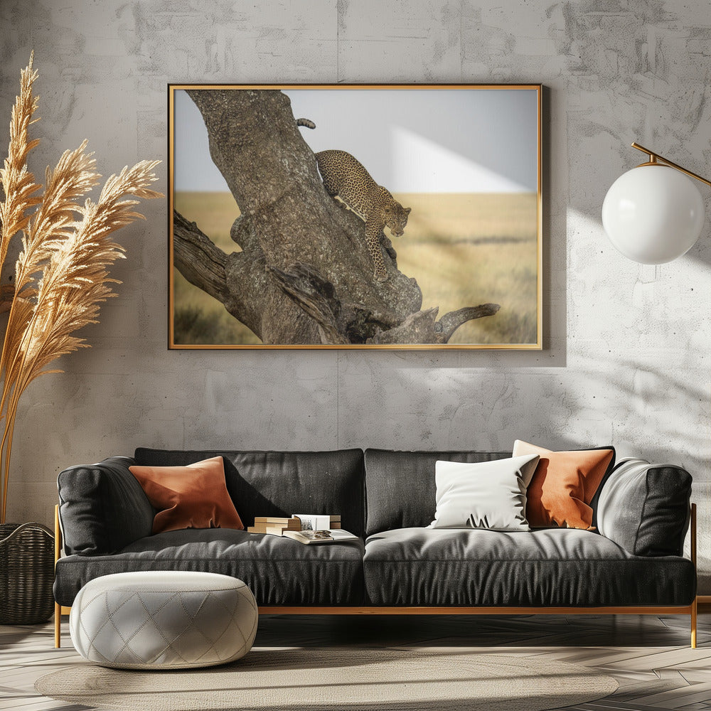 Luipaard - Serengheti, Tanzania | Canvas
