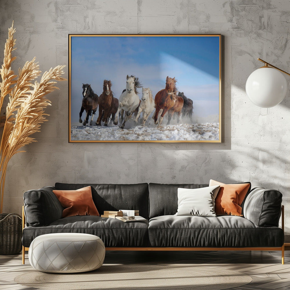 Mongoolse paarden | Canvas