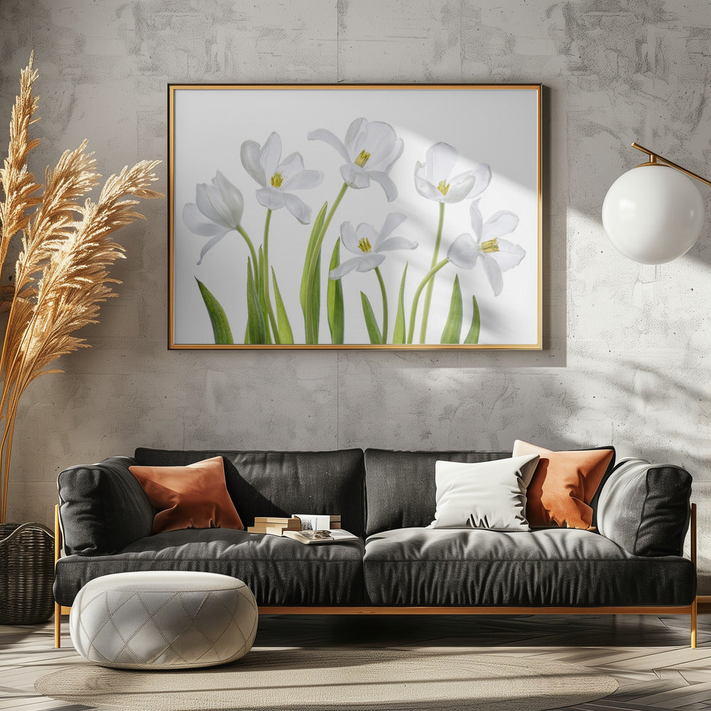 Witte Tulpen | Canvas