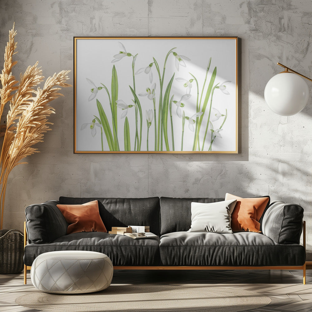 Eerste sneeuwklokjes | Canvas