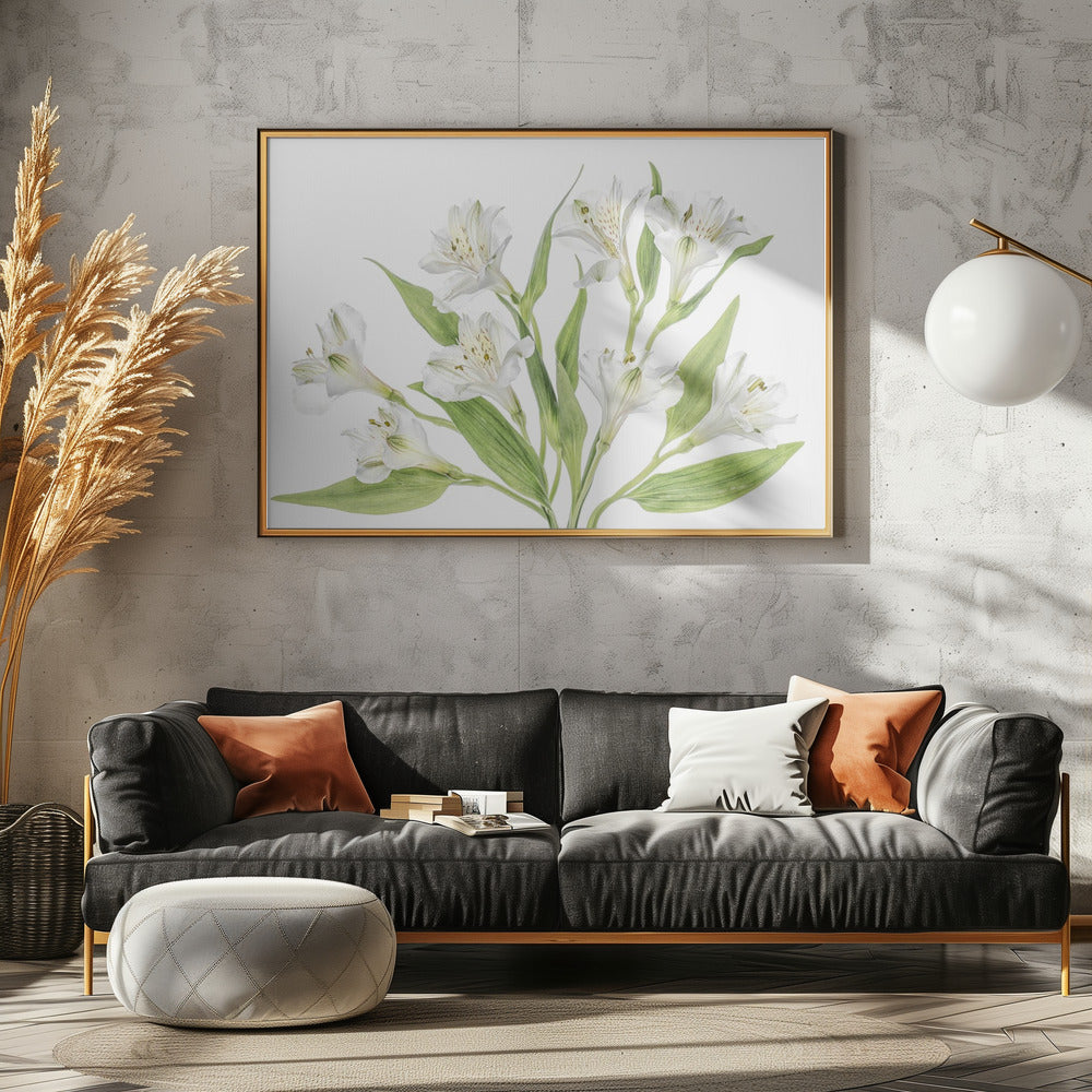 Alstroemeria | Canvas