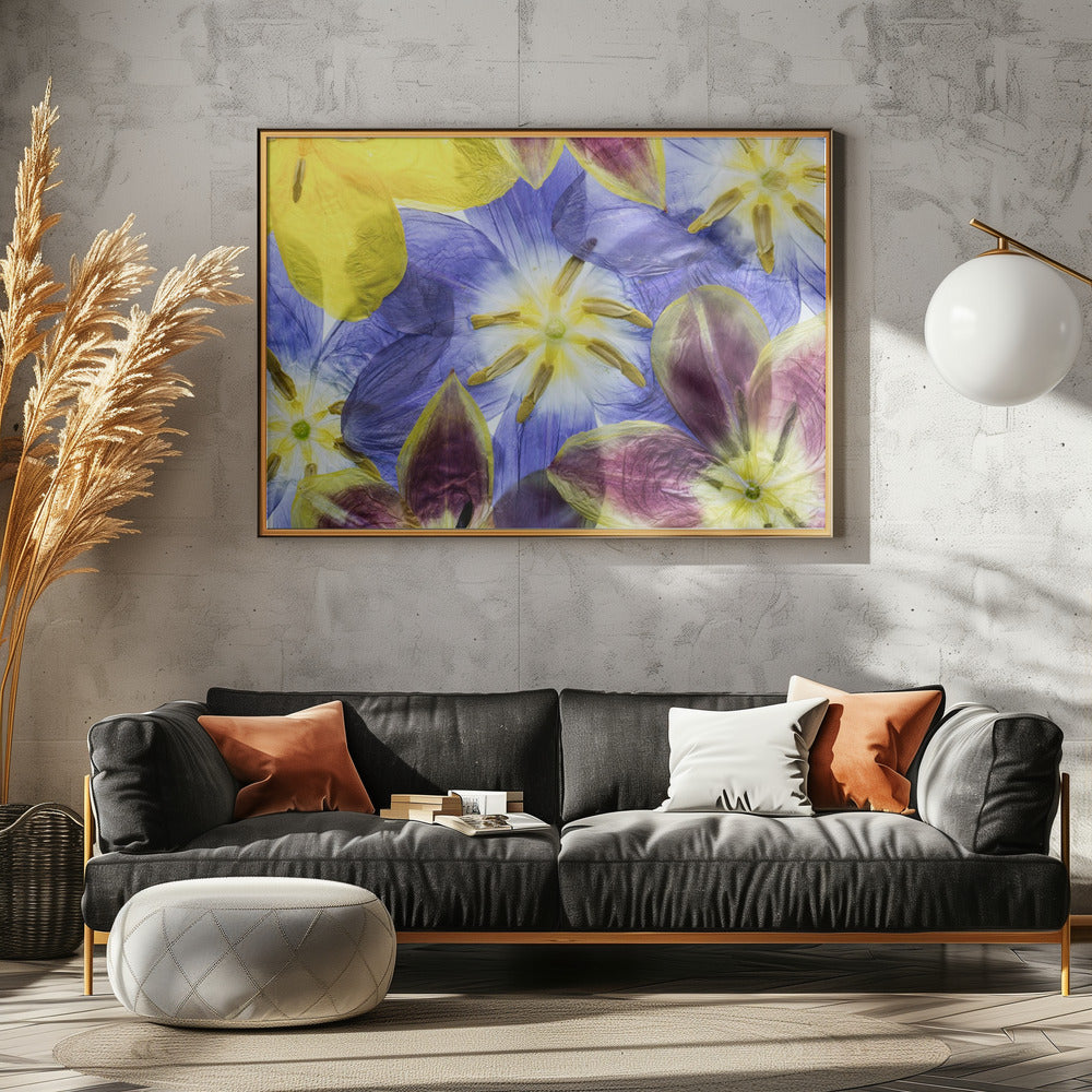 Tulpen | Canvas