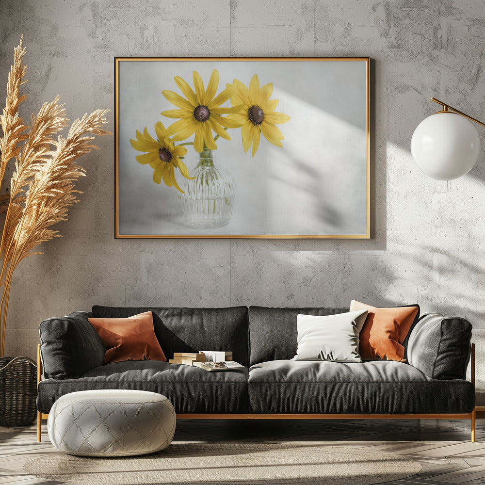 Rudbeckia | Canvas