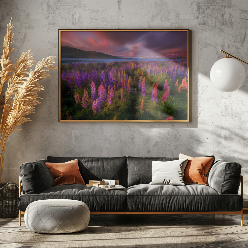 Lente Rush | Canvas