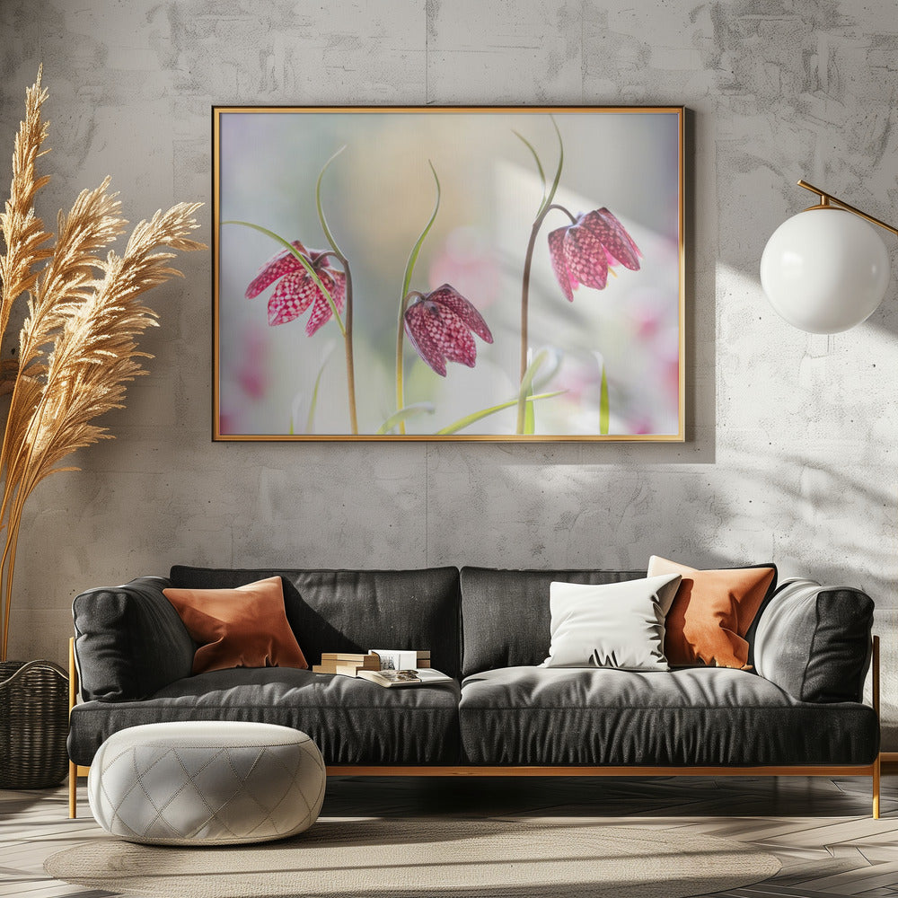 Slangenkopparelmoervlinder | Canvas