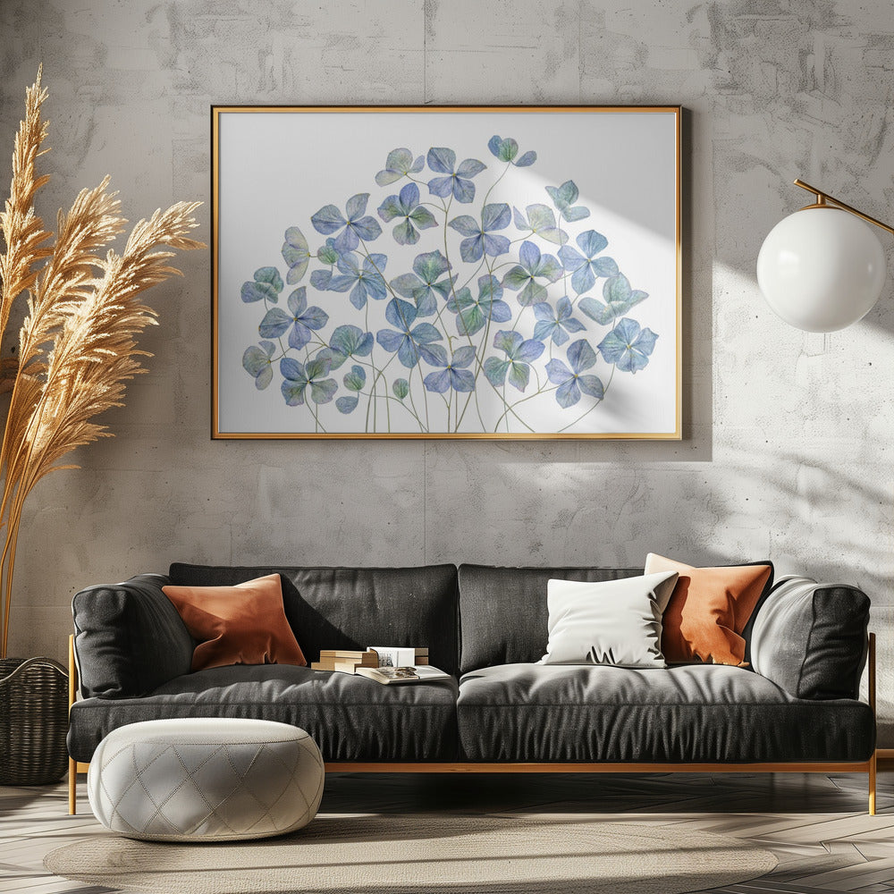 Hortensia | Canvas
