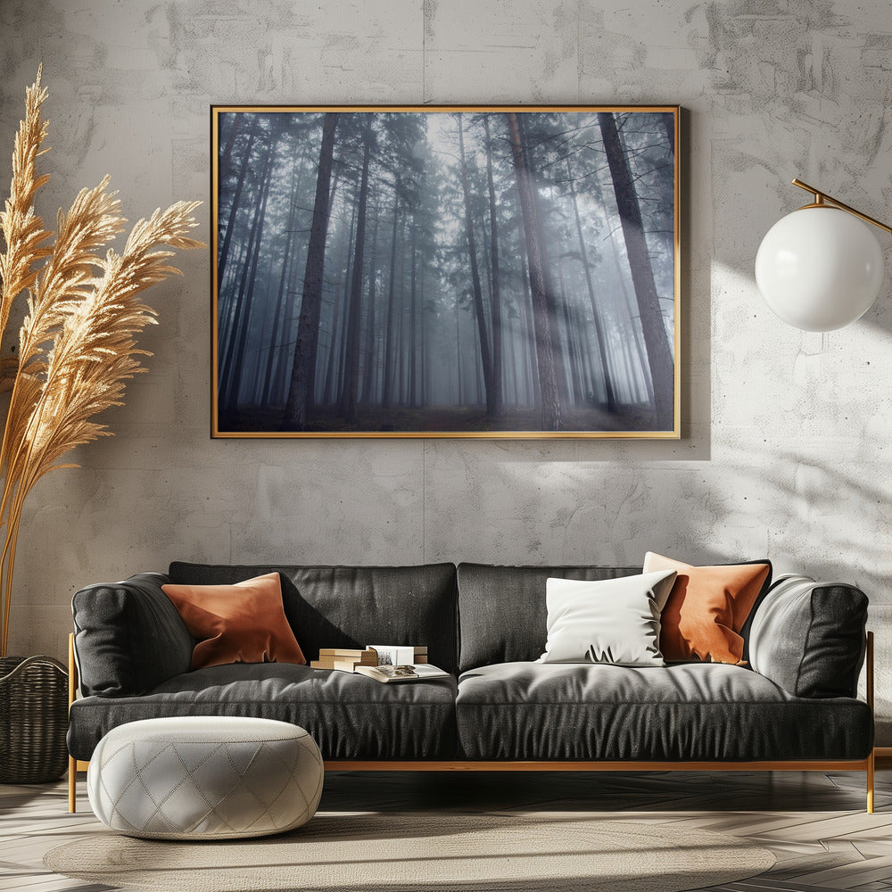 Mysterious foggy forest. | Poster