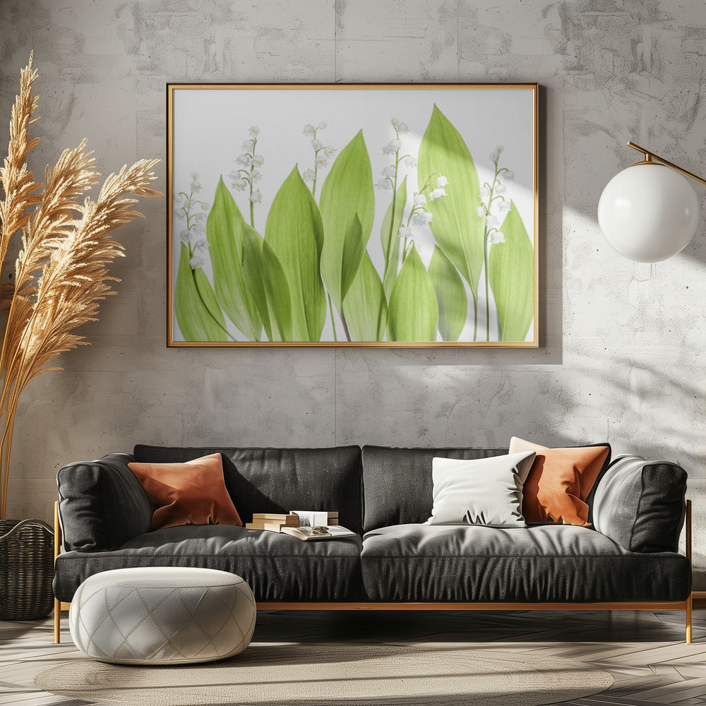 Lelietje-van-dalen | Canvas