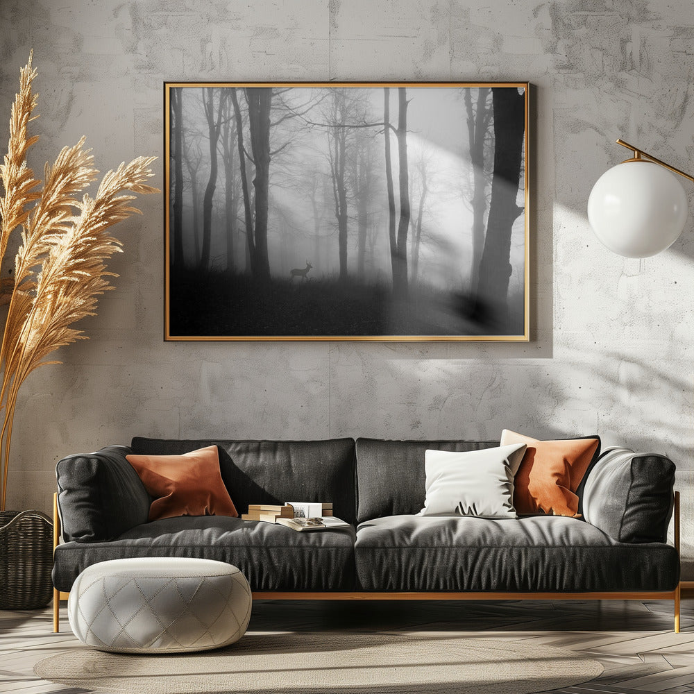 forest | Poster